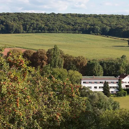 Du Parc Hotel 3*