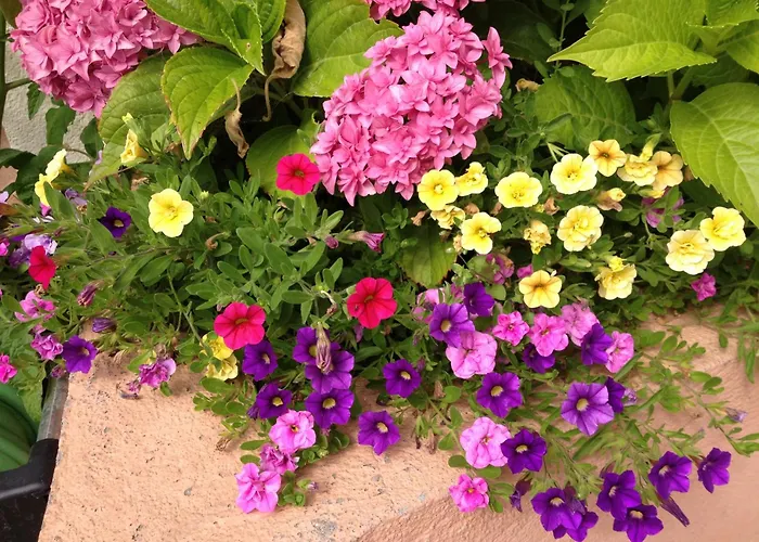 Du Parc Hotel Baudricourt